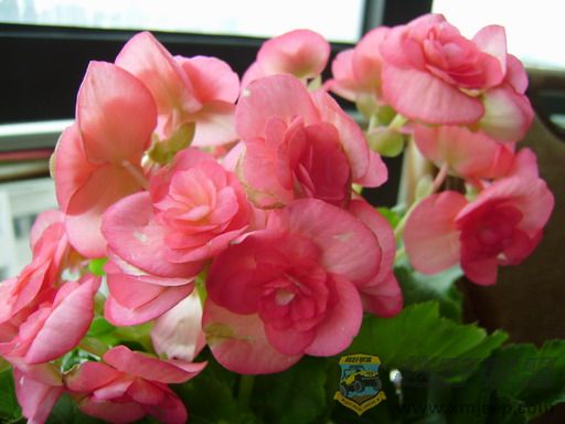 PB090045_resize.JPG