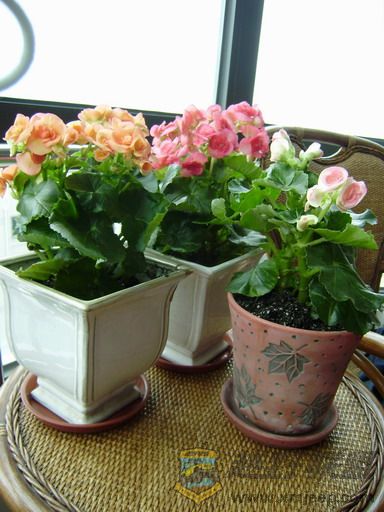 PB090042_resize.JPG