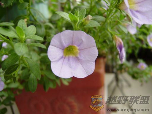 PB050023_resize.JPG