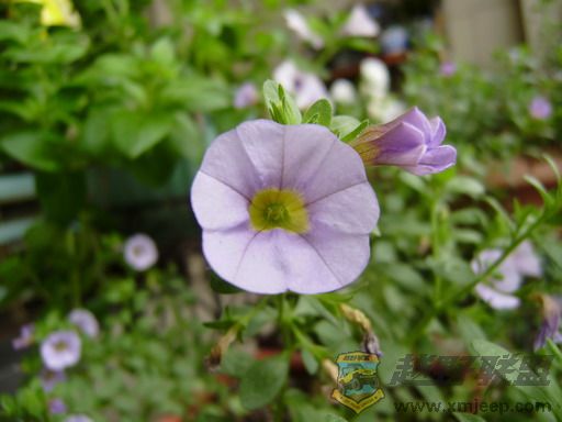 PB050026_resize.JPG