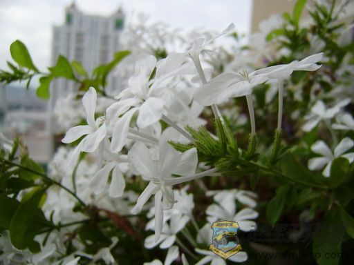PB050017_resize.JPG