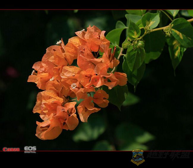 IMG_0759.jpg