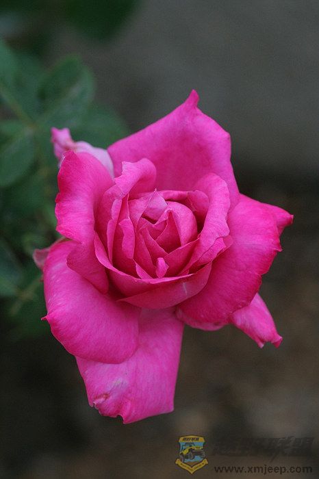 IMG_1001.jpg
