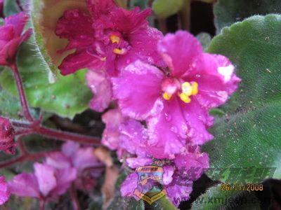 IMG_0023_С.JPG