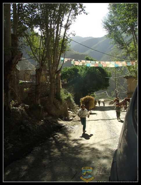 DSCF2300.jpg