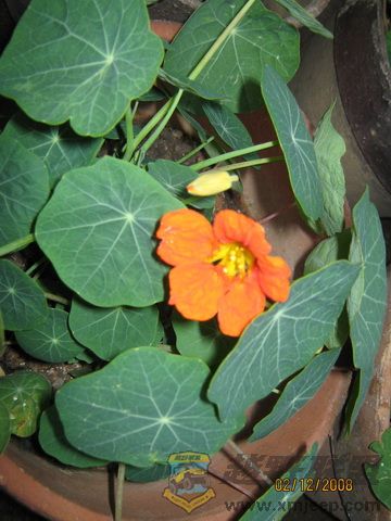 IMG_0007_С.JPG