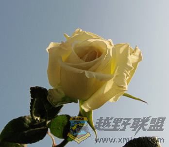 IMG_6308.jpg