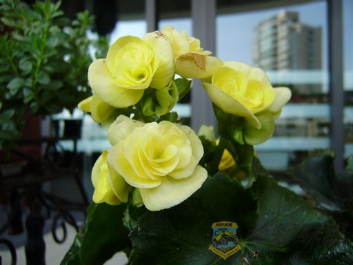 PC030202_resize.JPG