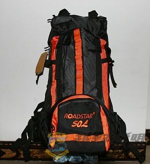 Roadstarɽ 50L0.jpg