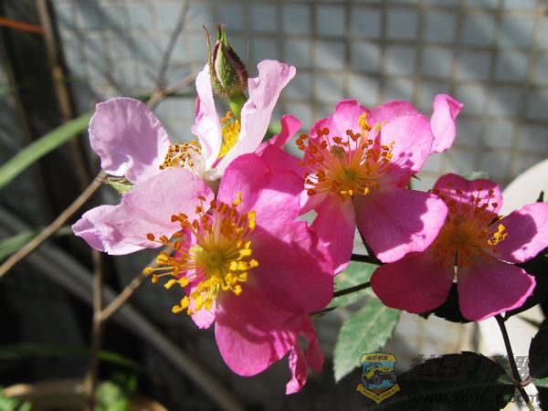 IMG_6331.jpg