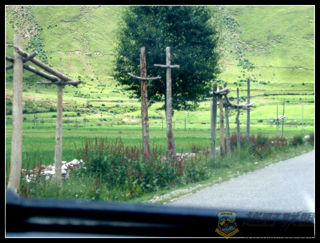 DSCF2386.jpg