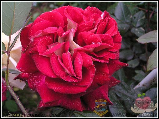 P4130037_nEO_IMG.jpg