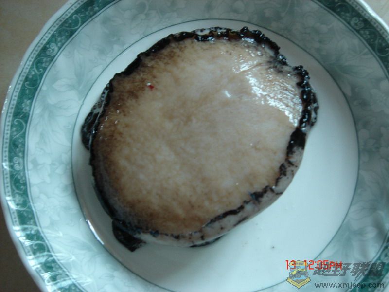 DSC06800.JPG
