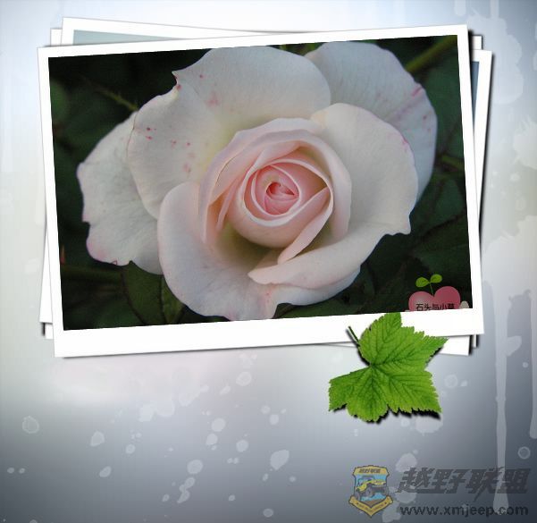 P4250040_nEO_IMG.jpg