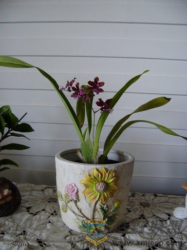PC180273_resize.JPG