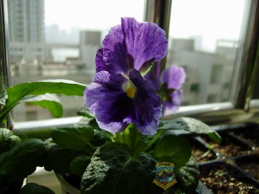 PC150256_resize.JPG
