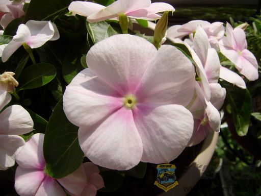PC150258_resize.JPG