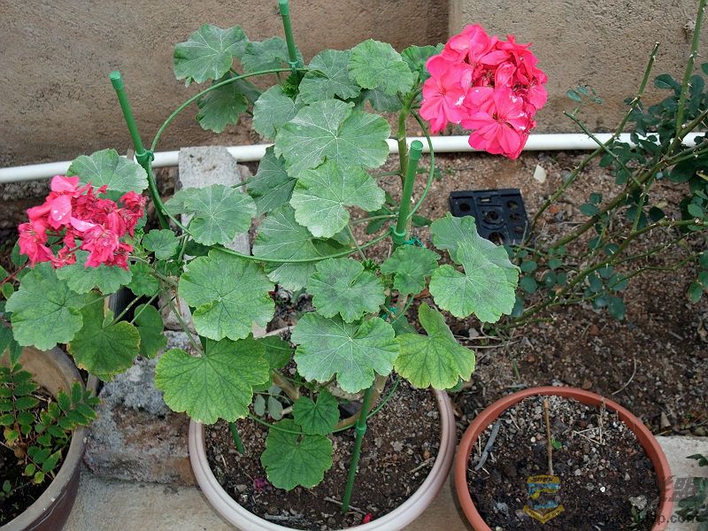 DSCF0878.jpg