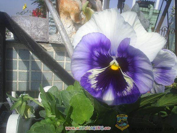 ɫ010008.JPG