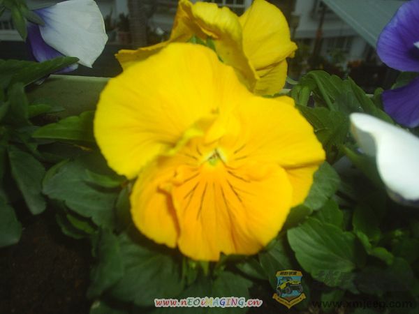 ɫ010035.JPG