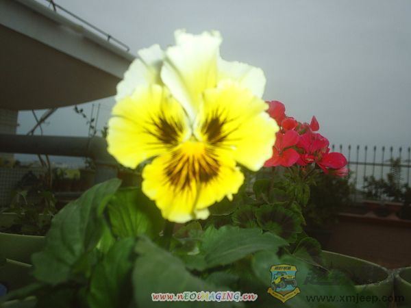 ɫ010042.JPG