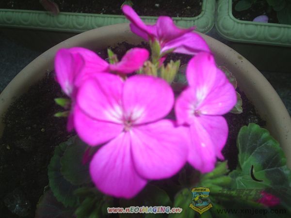 ÿ010039.JPG