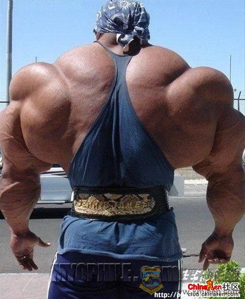 AVkCYuss.jpg