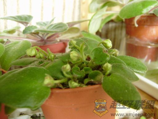 PC230288_resize.JPG