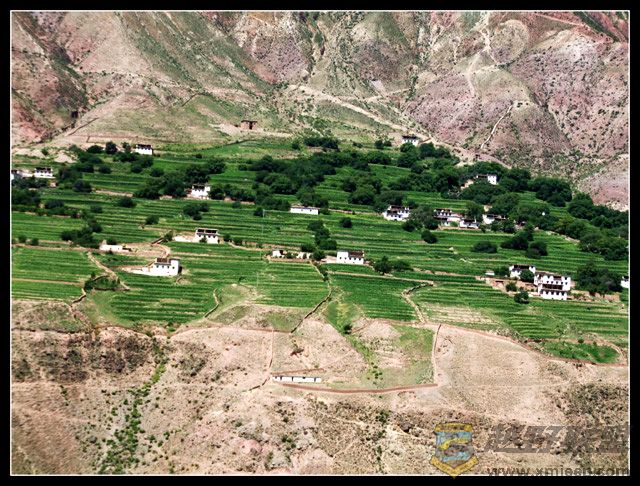 DSCF2556.jpg
