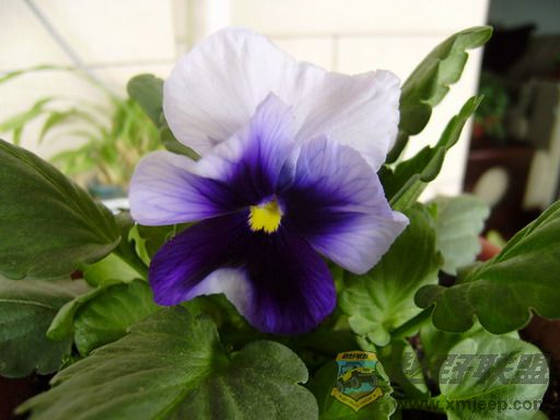 PC230291_resize.JPG