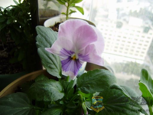 PC250329_resize.JPG