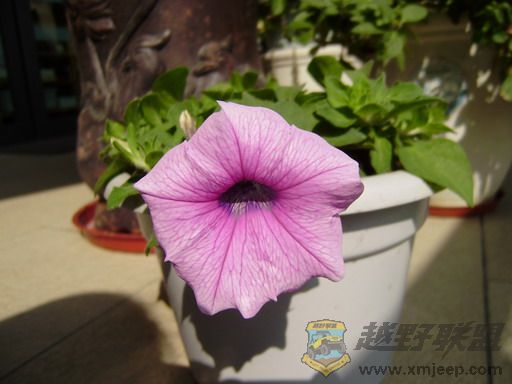 PC250315_resize.JPG