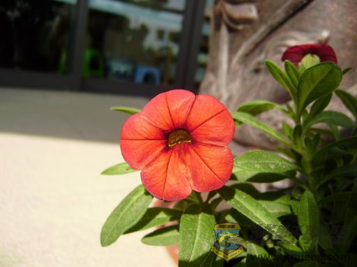 PC250317_resize.JPG