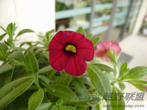 PC250319_resize.JPG