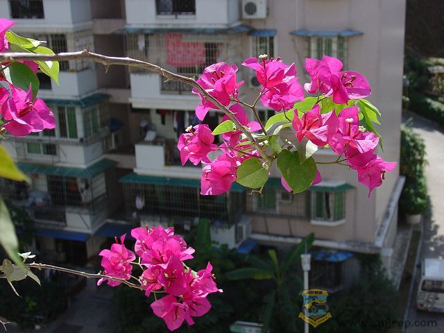 1019-1.jpg