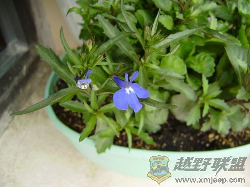 PC270346_resize.JPG