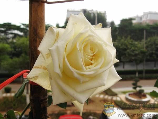 IMG_6405.jpg