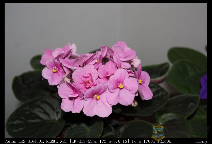 IMG_0351.JPG
