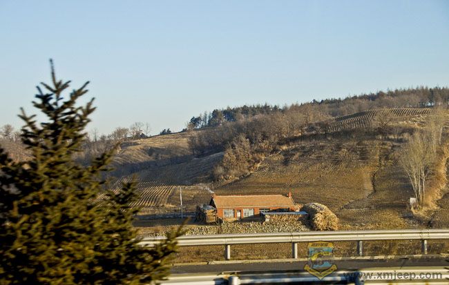  С011.jpg