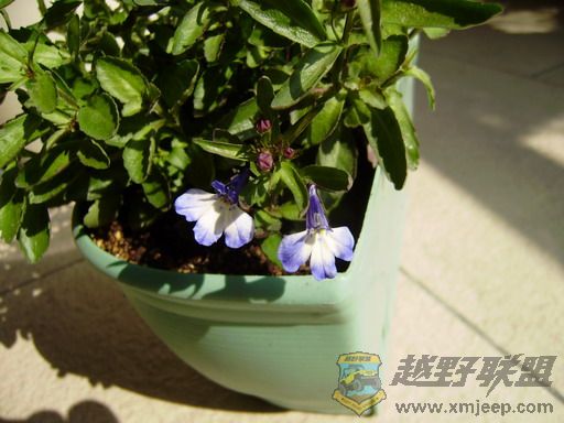 P1080047_resize.JPG