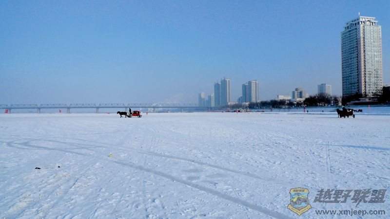 P1010799-w.jpg