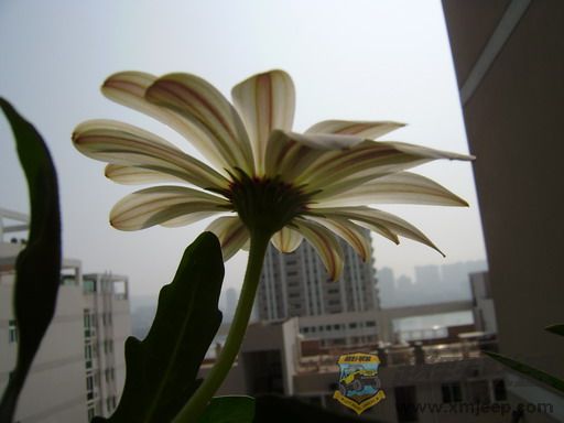 P1210043_resize.JPG