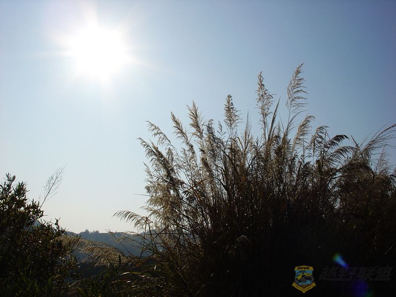 DSC08887-1.jpg