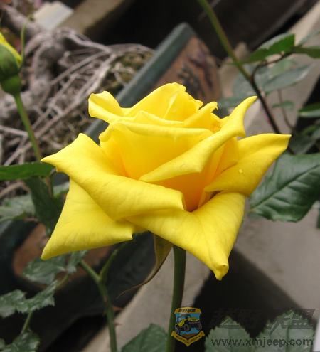 IMG_6735.jpg