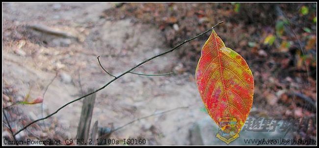 Ƭ 009.jpg