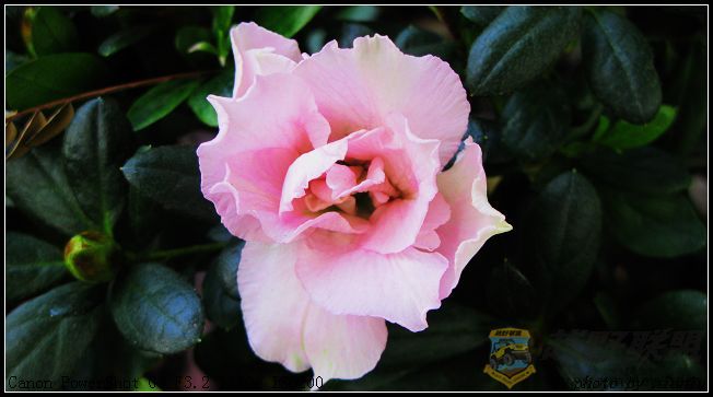 Ƭ 034.jpg