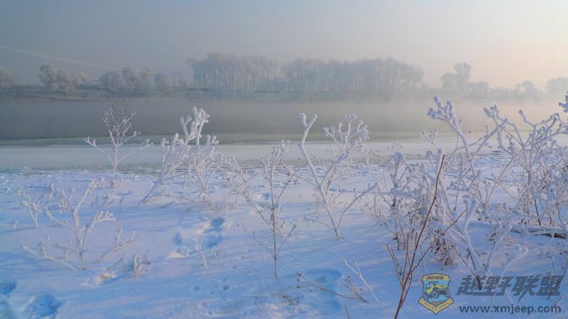 P1000680-w.jpg