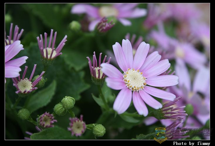 IMG_1063a.jpg