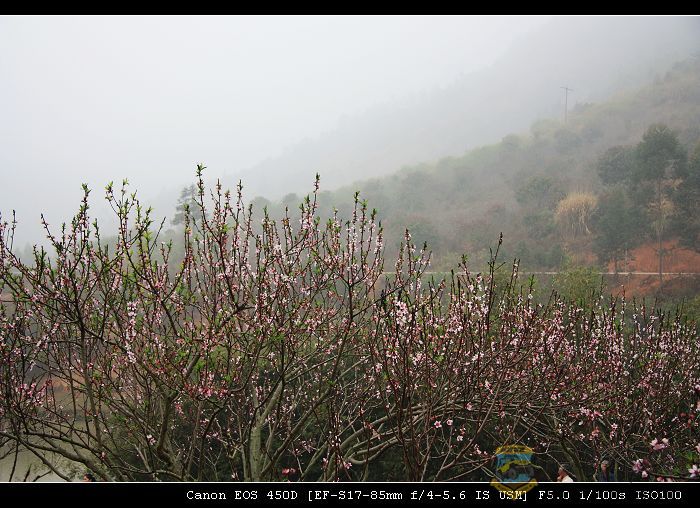 IMG_9288a.jpg