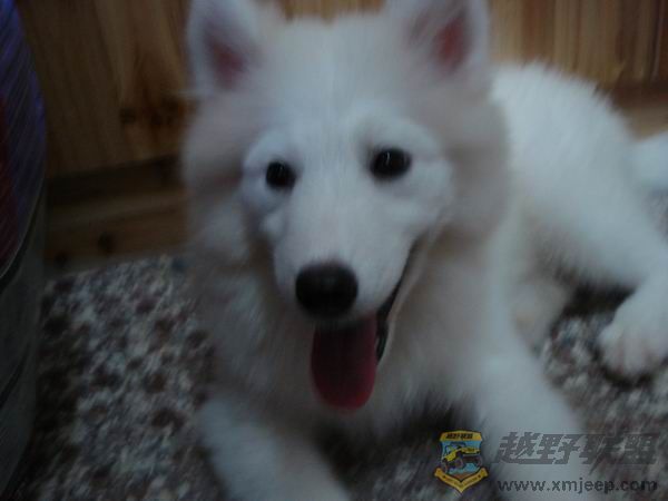 С DSC01651.JPG